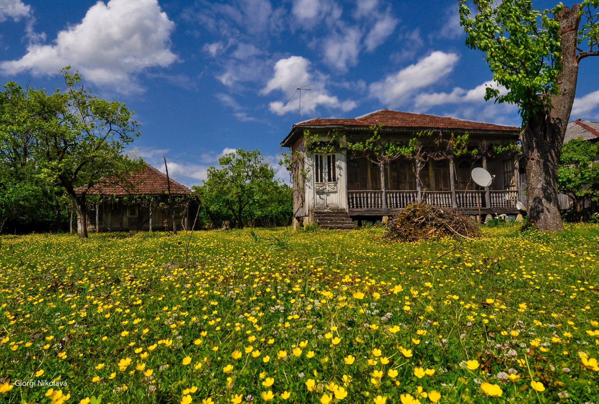 Colchian Oda-houses